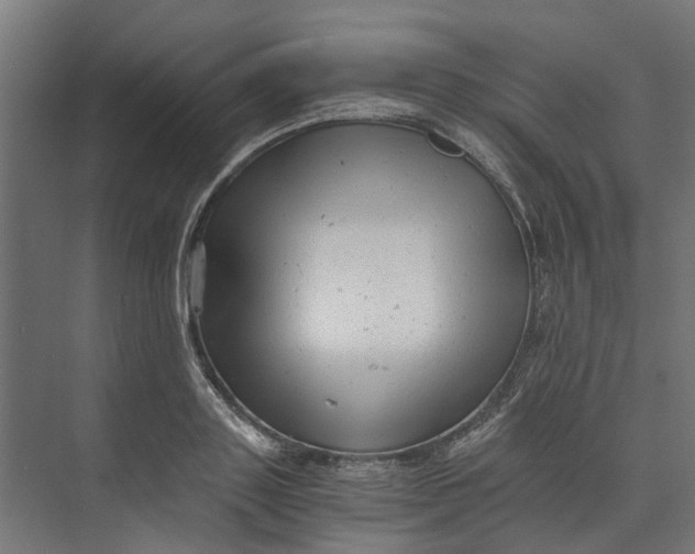 X0000073700843200608241415