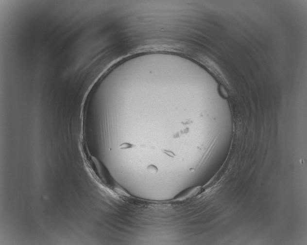 X0000073700844200608241415