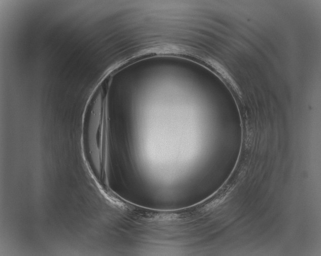 X0000073700845200608241415