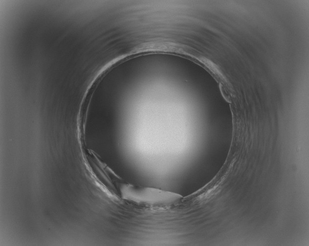 X0000073700846200608241415