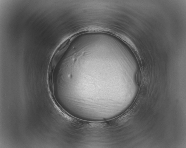 X0000073700847200608241415