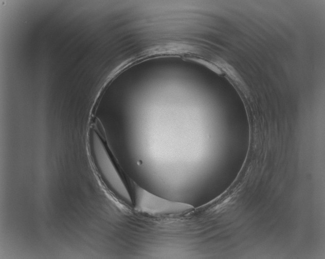 X0000073700850200608241415