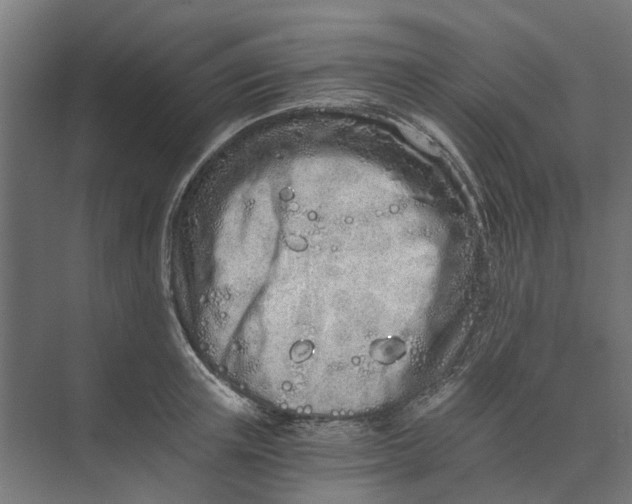 X0000073700851200608241415