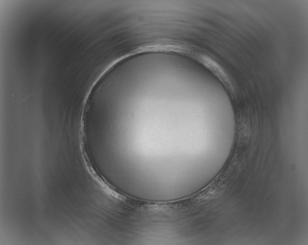 X0000073700852200608241415