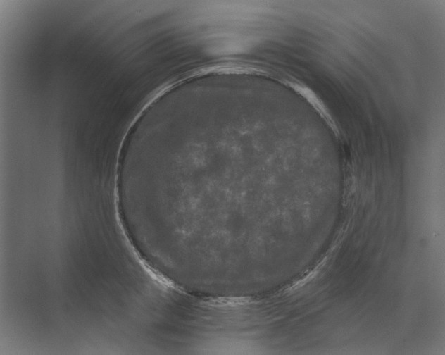 X0000073700853200608241415