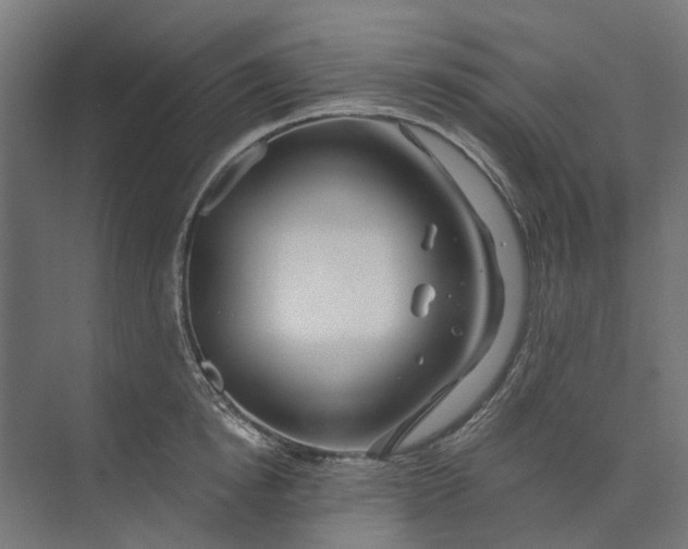 X0000073700854200608241415