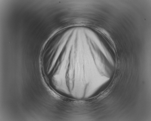 X0000073700859200608241415