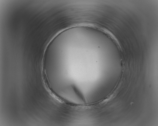 X0000073700860200608241415