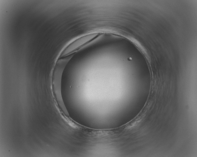 X0000073700862200608241415