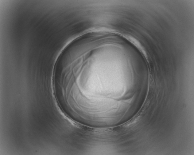 X0000073700863200608241415