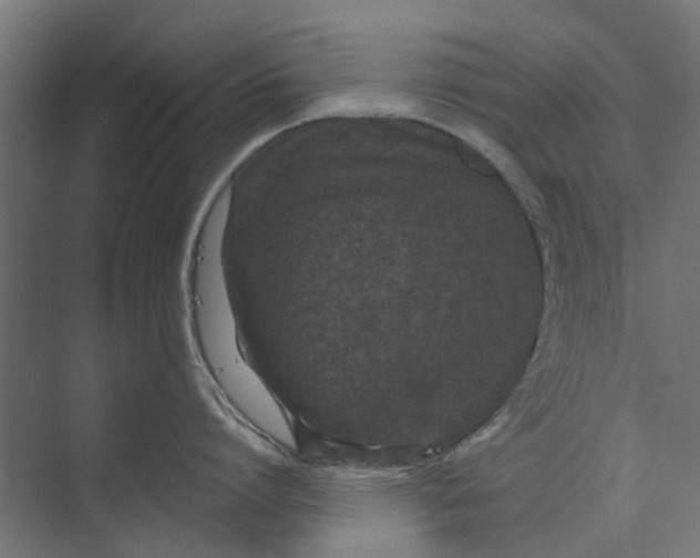 X0000073700864200608241415