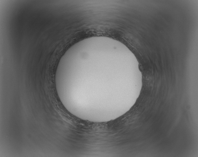 X0000073700865200608241414