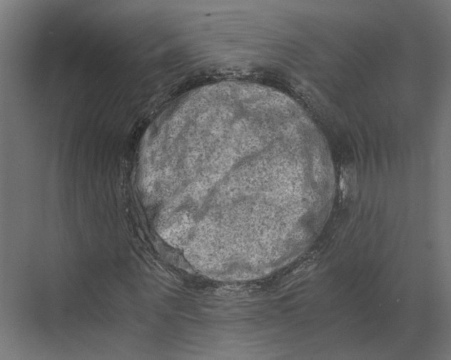 X0000073700867200608241414