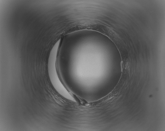 X0000073700868200608241414