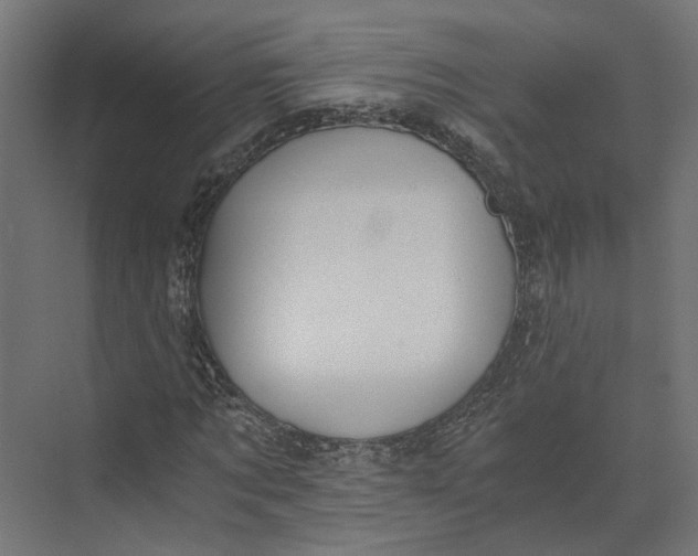 X0000073700869200608241414