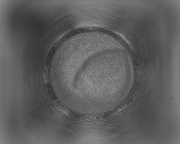 X0000073700871200608241414