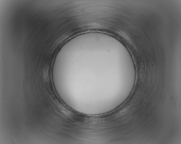 X0000073700873200608241414