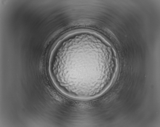 X0000073700874200608241414