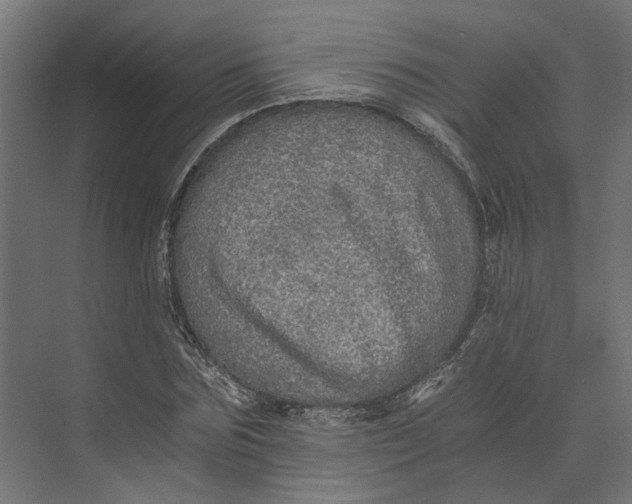 X0000073700875200608241414