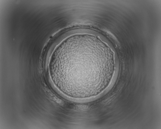 X0000073700878200608241414