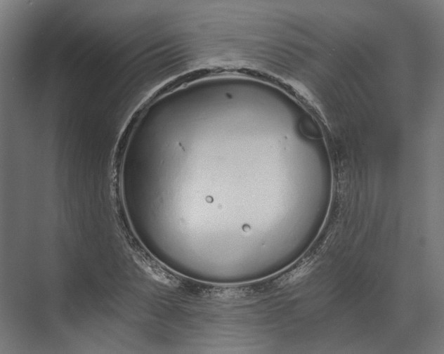 X0000073700879200608241414