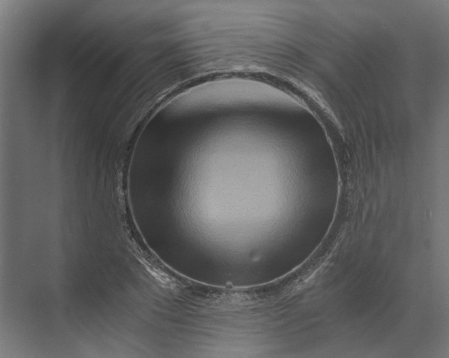 X0000073700881200608241414