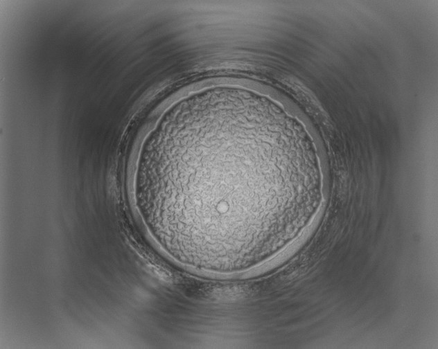 X0000073700882200608241414