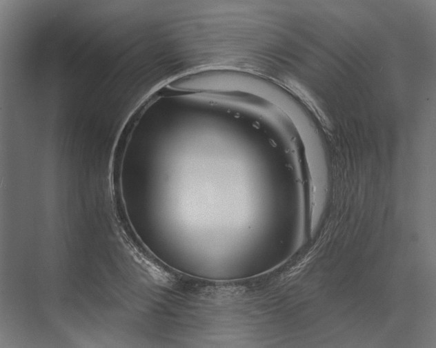 X0000073700884200608241414