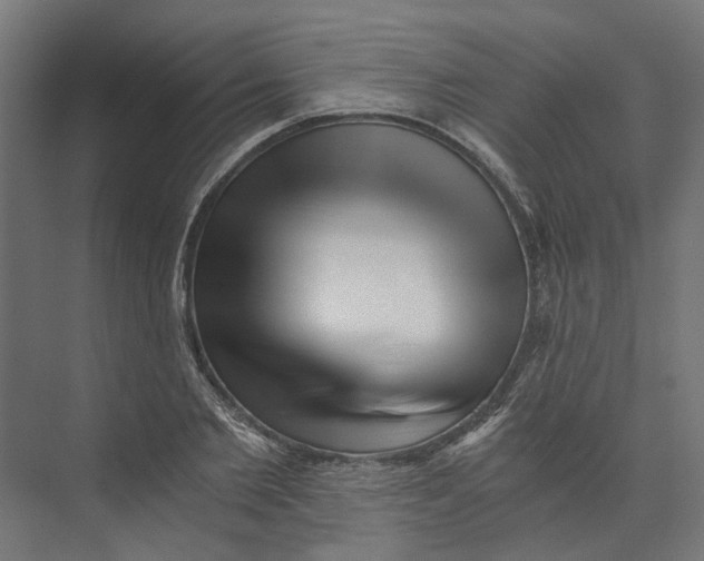 X0000073700885200608241414