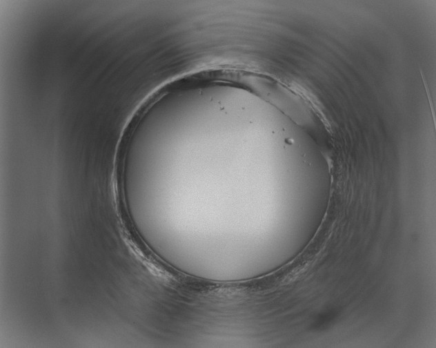 X0000073700888200608241414