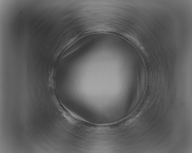 X0000073700889200608241414