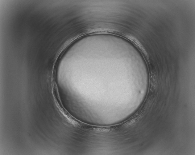 X0000073700890200608241414