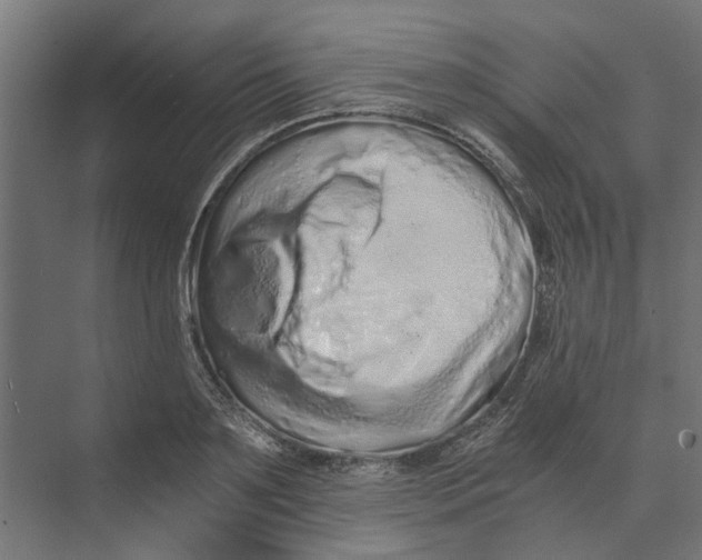 X0000073700891200608241414