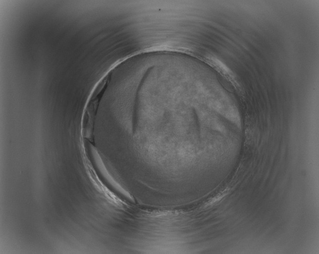 X0000073700892200608241414