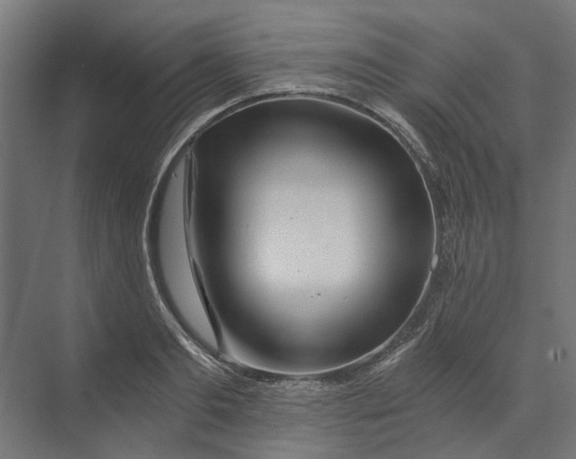 X0000073700893200608241414