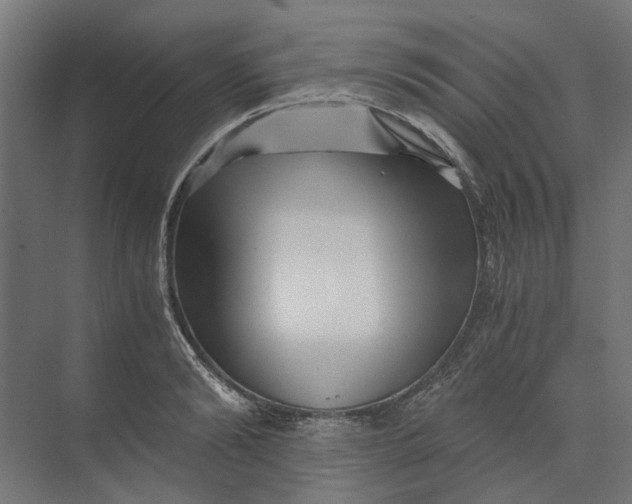 X0000073700894200608241414