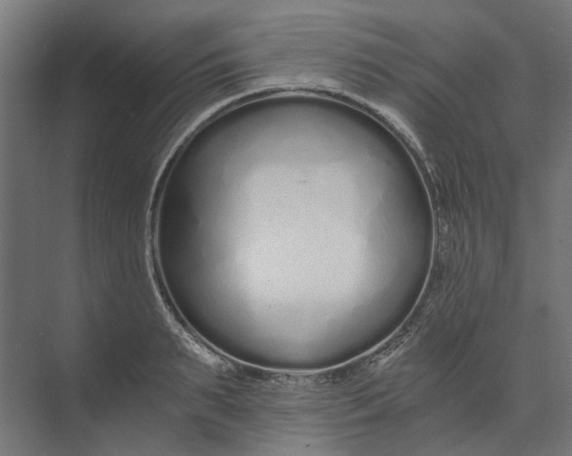 X0000073700895200608241414