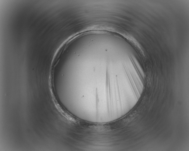 X0000073700896200608241414