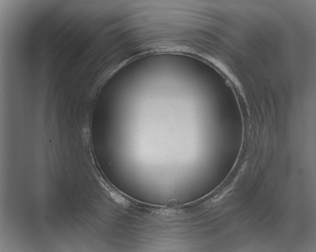 X0000073700897200608241414