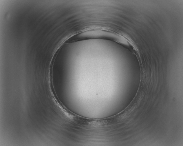 X0000073700898200608241414