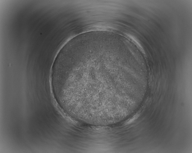 X0000073700899200608241414