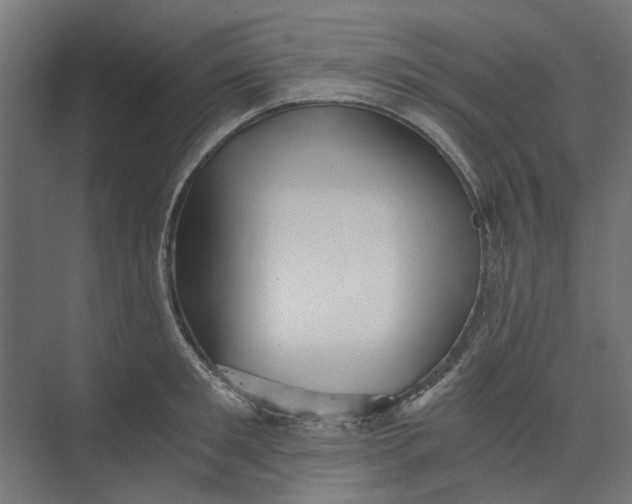 X0000073700901200608241414