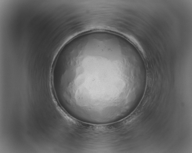 X0000073700903200608241414