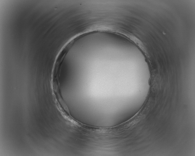 X0000073700904200608241414