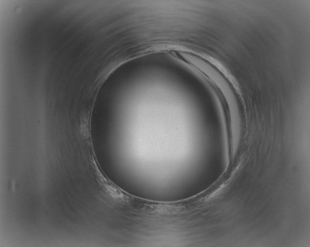 X0000073700905200608241414