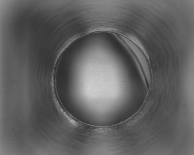 X0000073700906200608241414