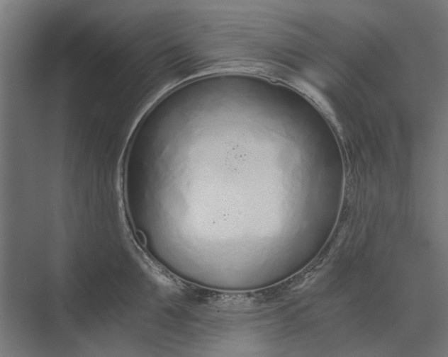 X0000073700907200608241414