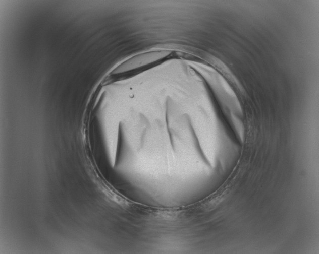 X0000073700908200608241414