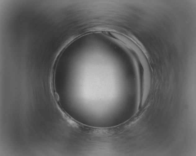 X0000073700909200608241414