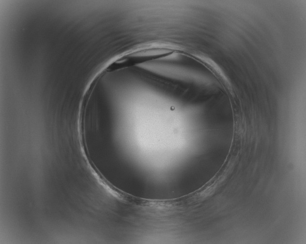 X0000073700910200608241414